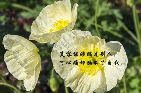 那些说到心坎的文字